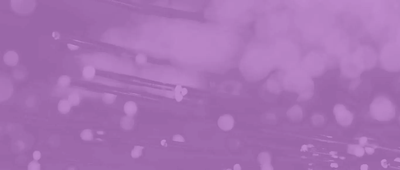 Presidents Address Header